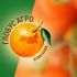 Globus-agro.ru